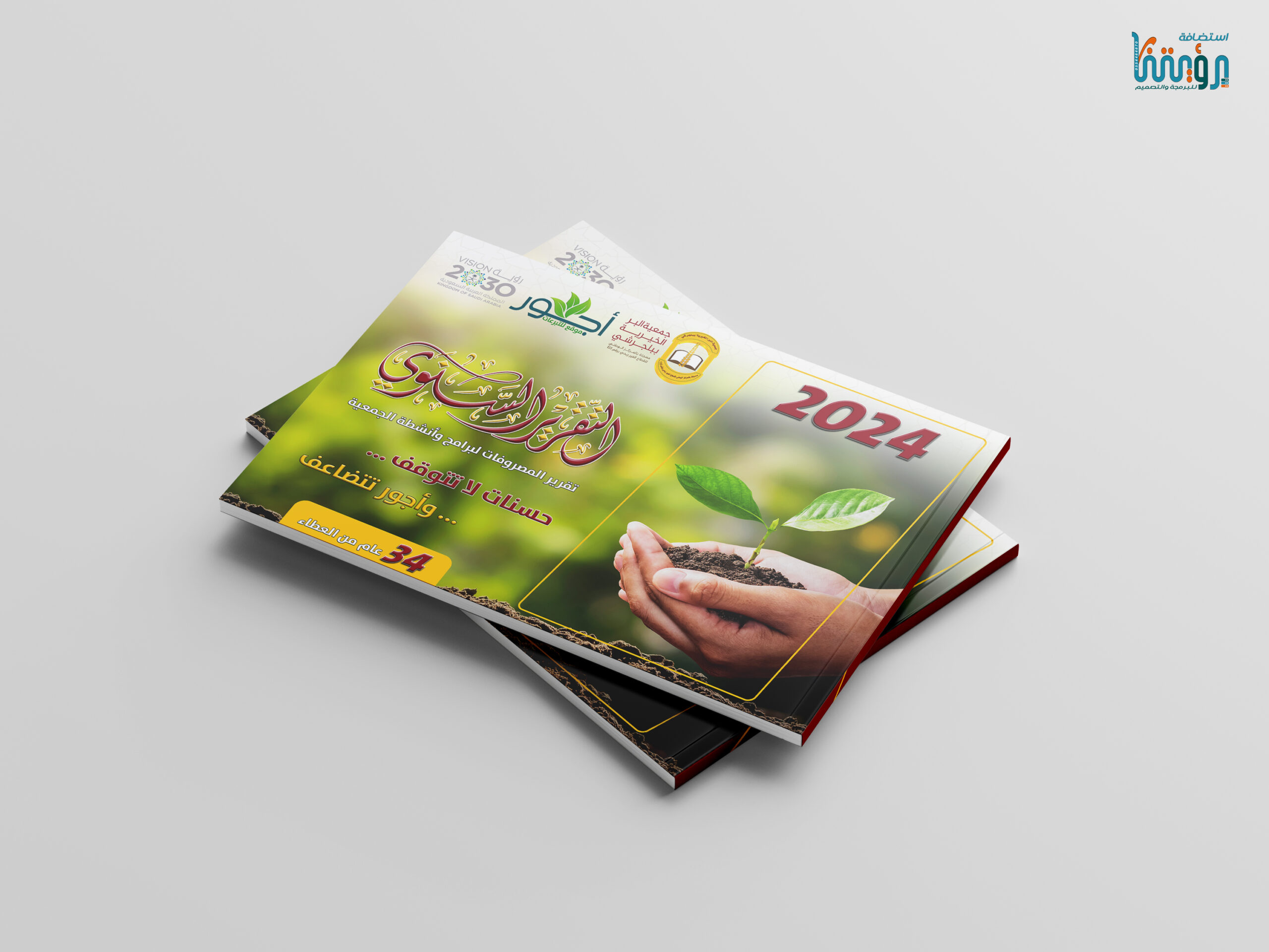 تصميم ملف تعريفي وتقرير سنوي الصورة 3